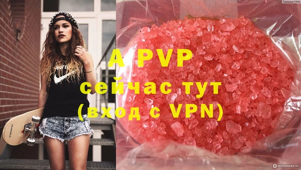 экстази Белокуриха