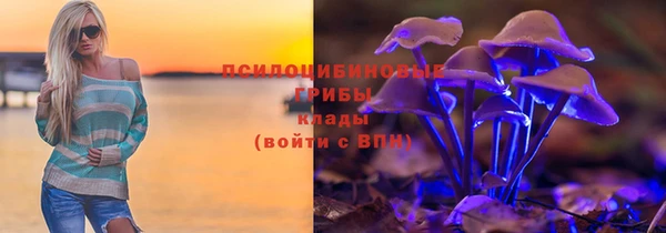 экстази Белокуриха