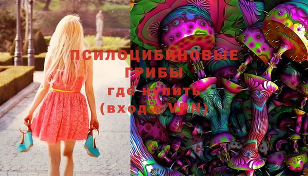прущие крисы Беломорск