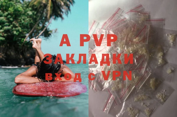 экстази Белокуриха