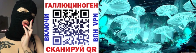 где можно купить   Славгород  Псилоцибиновые грибы Psilocybe 
