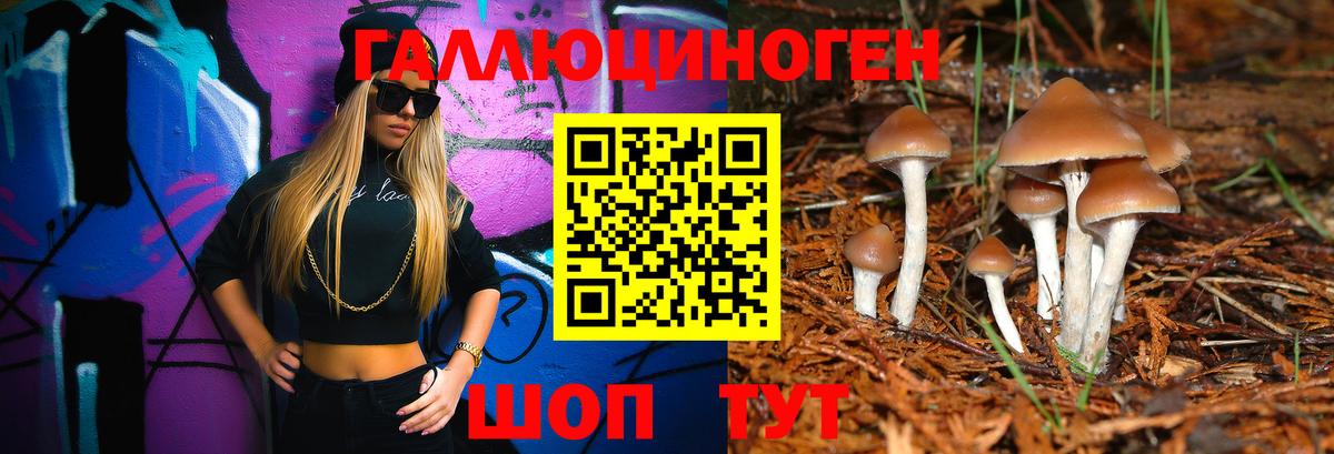купить закладку  Псилоцибиновые грибы прущие грибы  Галлюциногенные грибы Cubensis  Вход с VPN  Славгород 